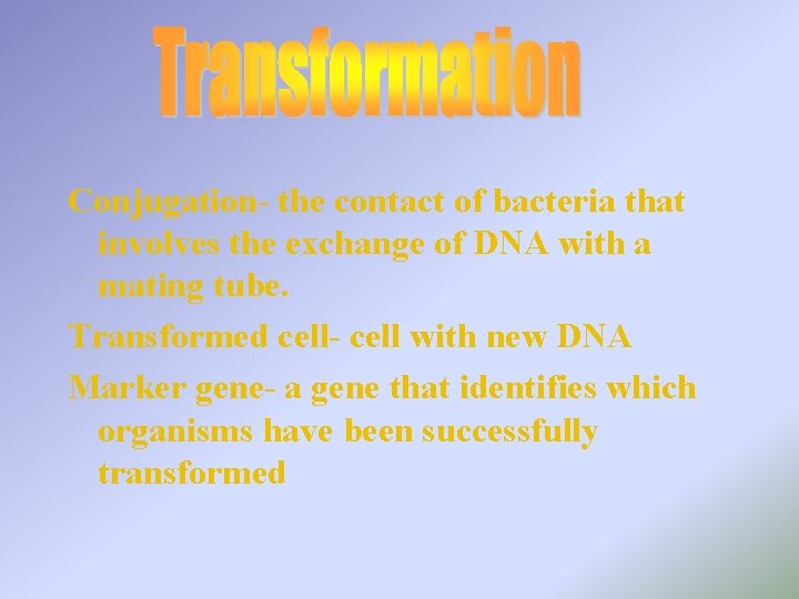 Conjugation- the contact of bacteria that involves the exchange of DNA with a mating