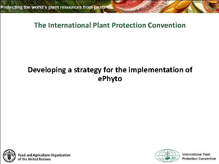 The International Plant Protection Convention Developing a strategy for the implementation of e. Phyto