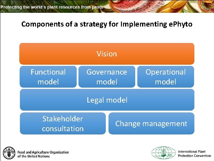 Components of a strategy for Implementing e. Phyto Vision Functional model Governance model Operational
