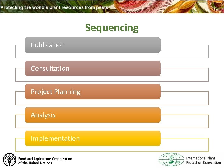 Sequencing Publication Consultation Project Planning Analysis Implementation 