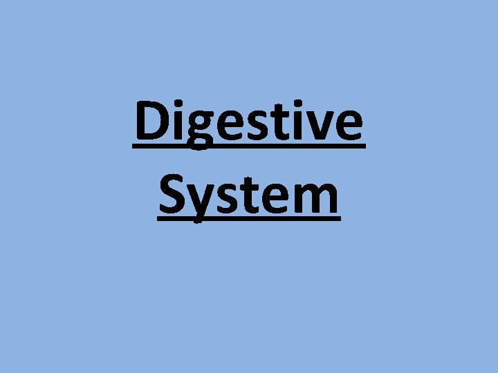 Digestive System 