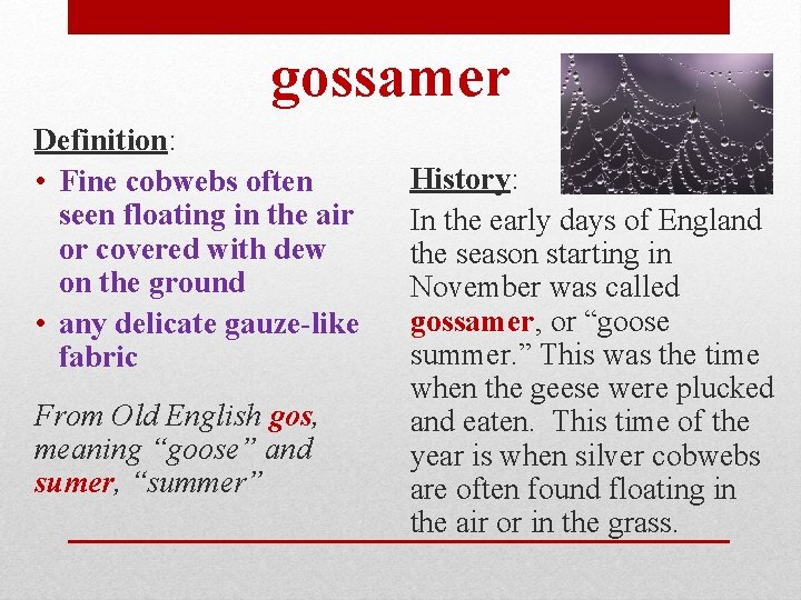 gossamer Definition: • Fine cobwebs often seen floating in the air or covered with