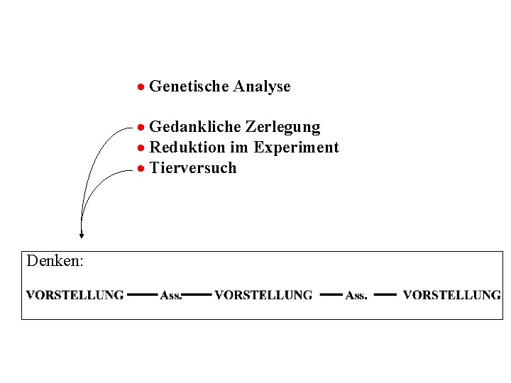 · Genetische Analyse · Gedankliche Zerlegung · Reduktion im Experiment · Tierversuch Denken: 