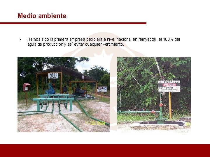 Medio ambiente • Hemos sido la primera empresa petrolera a nivel nacional en reinyectar,