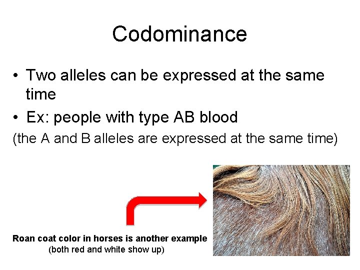 Codominance • Two alleles can be expressed at the same time • Ex: people