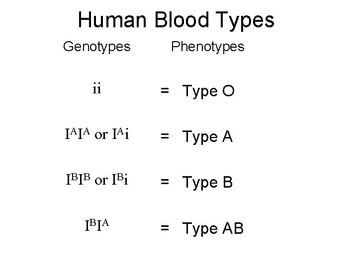 Human Blood Types Genotypes Phenotypes ii = Type O IAIA or IAi = Type