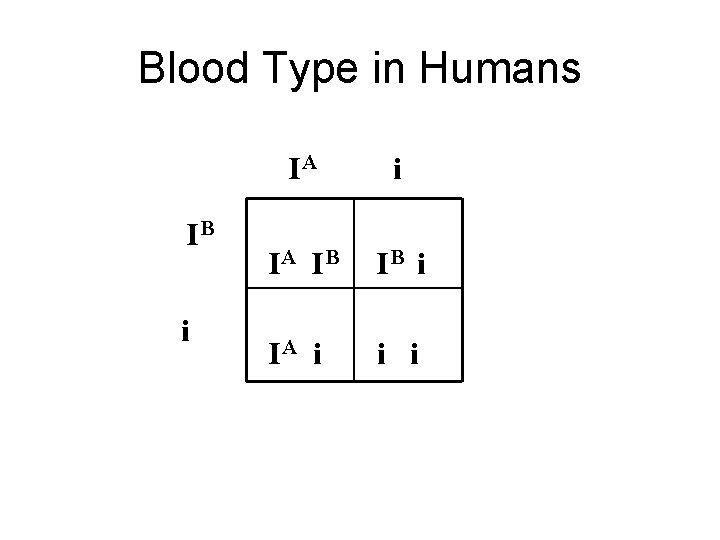 Blood Type in Humans IB i IA IB IB i IA i i i