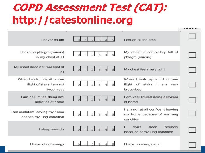 COPD Assessment Test (CAT): http: //catestonline. org Page 41 - © IPCRG 2012 