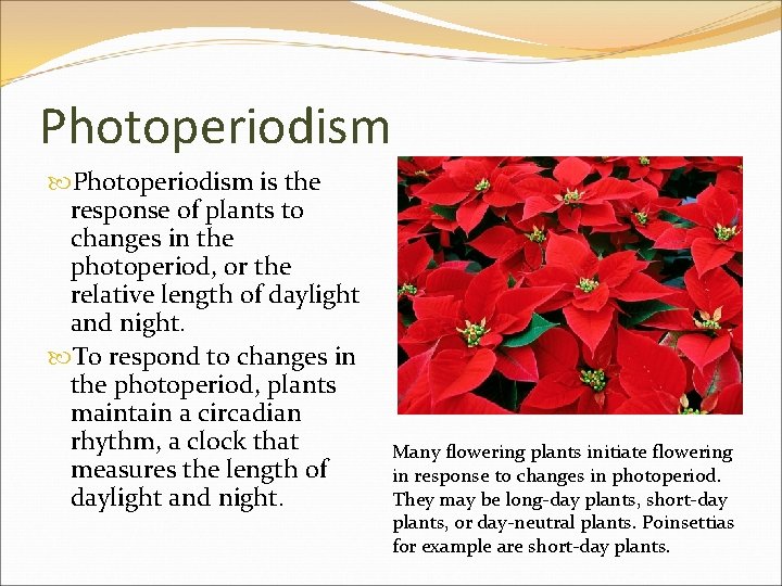 Photoperiodism is the response of plants to changes in the photoperiod, or the relative