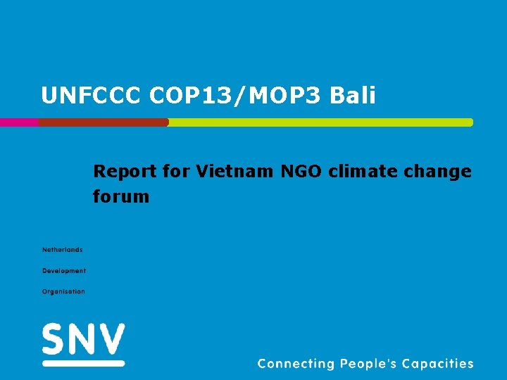 UNFCCC COP 13/MOP 3 Bali Report for Vietnam NGO climate change forum 