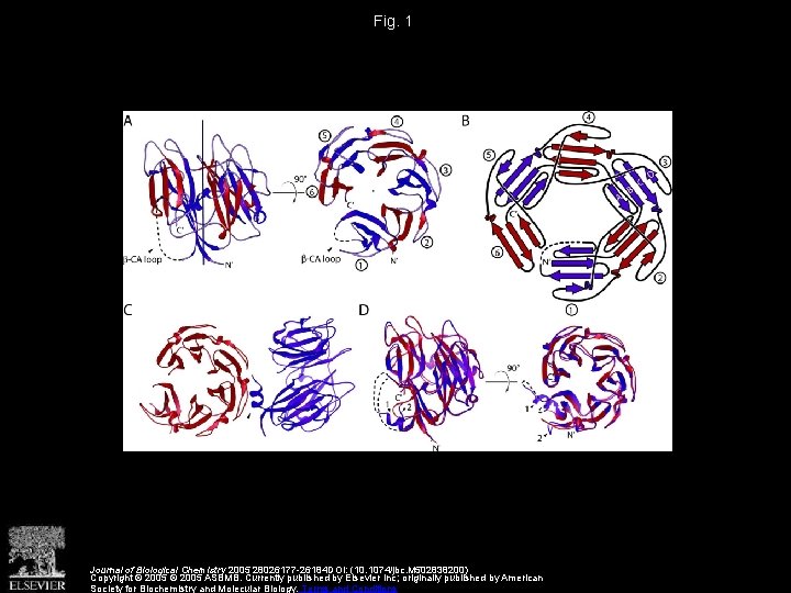 Fig. 1 Journal of Biological Chemistry 2005 28026177 -26184 DOI: (10. 1074/jbc. M 502838200)