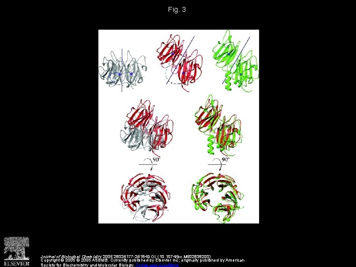 Fig. 3 Journal of Biological Chemistry 2005 28026177 -26184 DOI: (10. 1074/jbc. M 502838200)