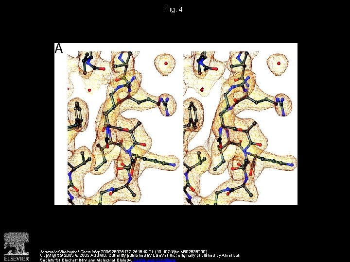 Fig. 4 Journal of Biological Chemistry 2005 28026177 -26184 DOI: (10. 1074/jbc. M 502838200)