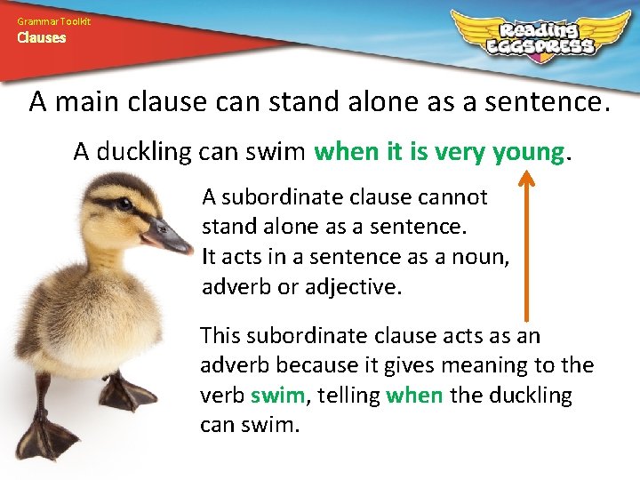 Grammar Toolkit Clauses A main clause can stand alone as a sentence. A duckling