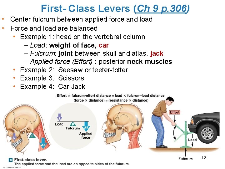 First- Class Levers (Ch 9 p. 306) • Center fulcrum between applied force and