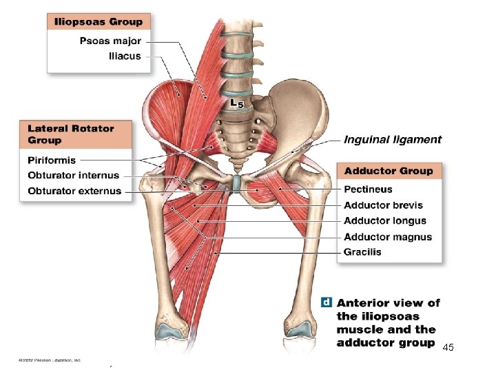 45 © 2012 Pearson Education, Inc. 