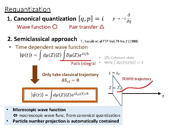 Dynamics of nuclear pairing model ChinaJapan collaboration workshop