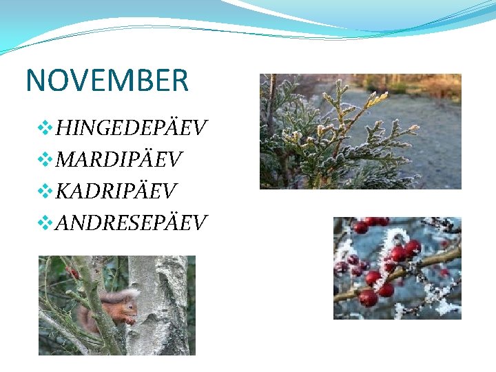 NOVEMBER v. HINGEDEPÄEV v. MARDIPÄEV v. KADRIPÄEV v. ANDRESEPÄEV 