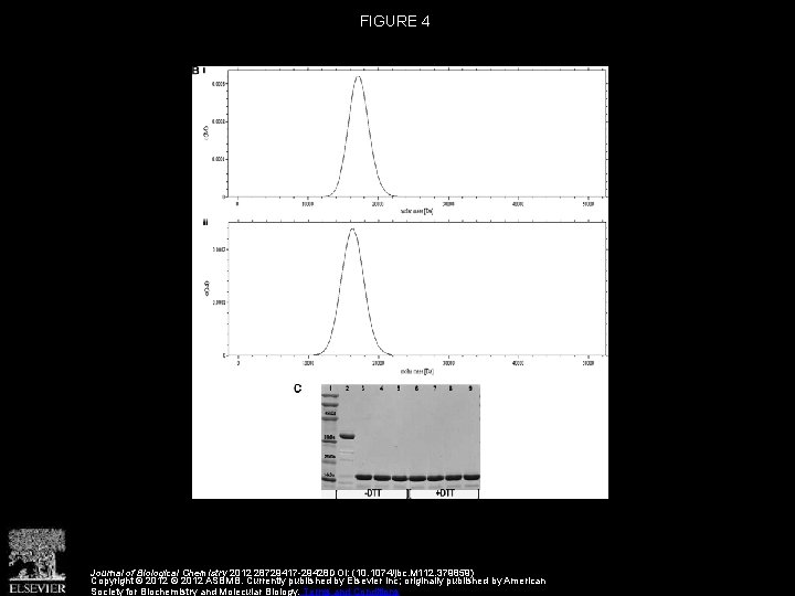 FIGURE 4 Journal of Biological Chemistry 2012 28729417 -29428 DOI: (10. 1074/jbc. M 112.