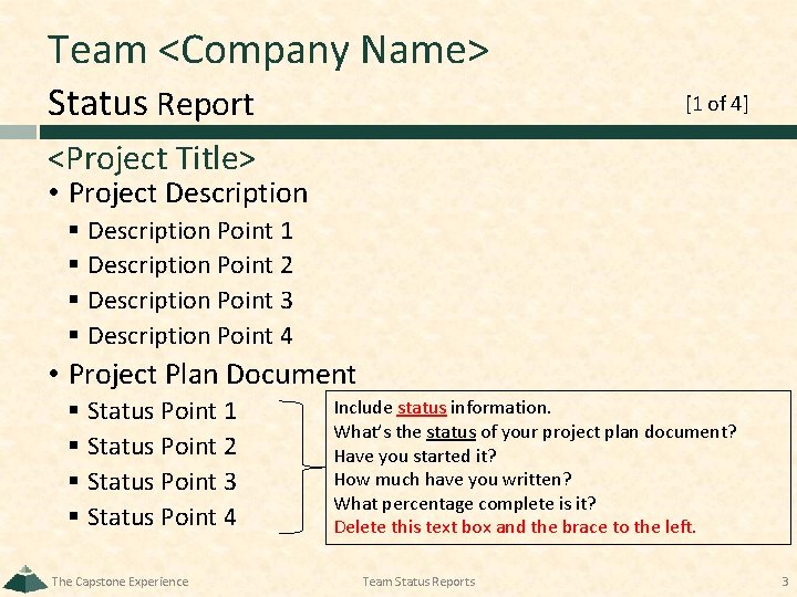 Team <Company Name> Status Report [1 of 4] <Project Title> • Project Description §