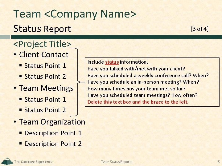 Team <Company Name> Status Report [3 of 4] <Project Title> • Client Contact §