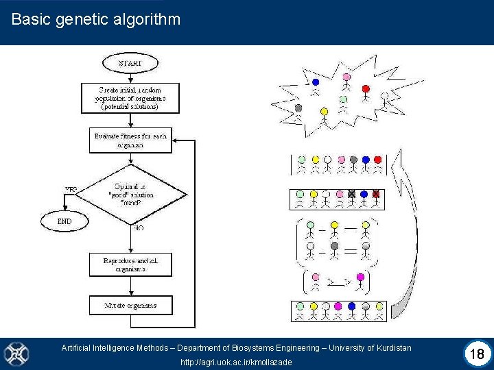 Basic genetic algorithm Artificial Intelligence Methods – Department of Biosystems Engineering – University of