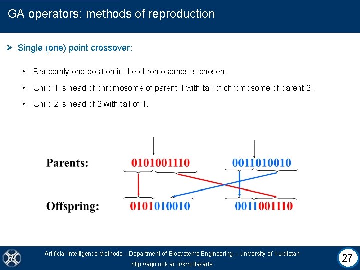 GA operators: methods of reproduction Ø Single (one) point crossover: • Randomly one position