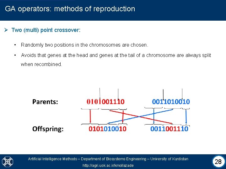 GA operators: methods of reproduction Ø Two (multi) point crossover: • Randomly two positions