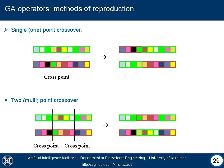 GA operators: methods of reproduction Ø Single (one) point crossover: Cross point Ø Two