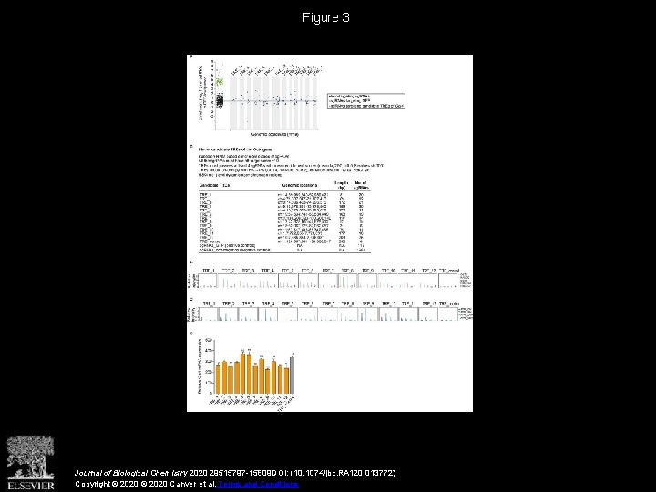 Figure 3 Journal of Biological Chemistry 2020 29515797 -15809 DOI: (10. 1074/jbc. RA 120.