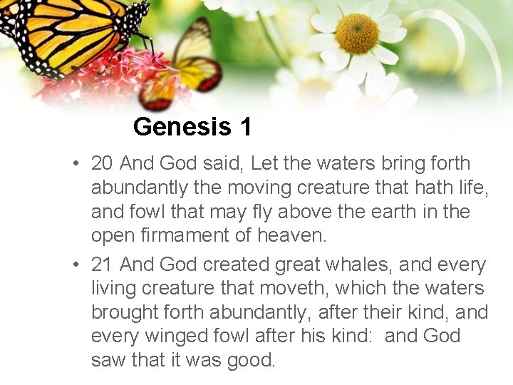 Genesis 1 • 20 And God said, Let the waters bring forth abundantly the