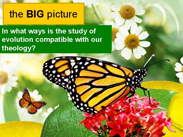 the BIG picture In what ways is the study of evolution compatible with our