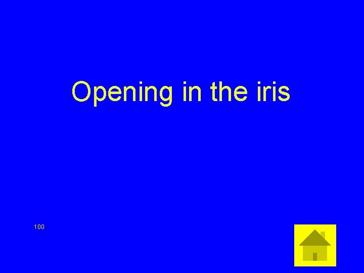 Opening in the iris 100 