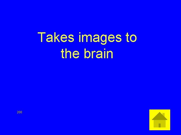 Takes images to the brain 200 