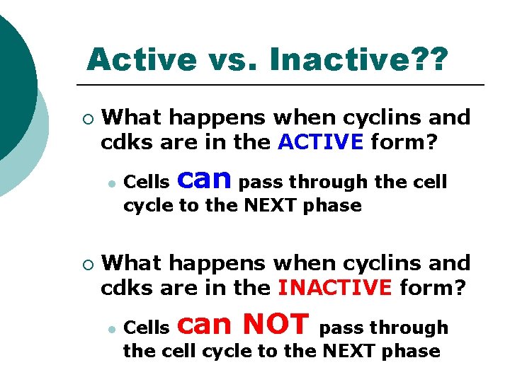 Active vs. Inactive? ? ¡ What happens when cyclins and cdks are in the Active vs. Inactive? ? ¡ What happens when cyclins and cdks are in the