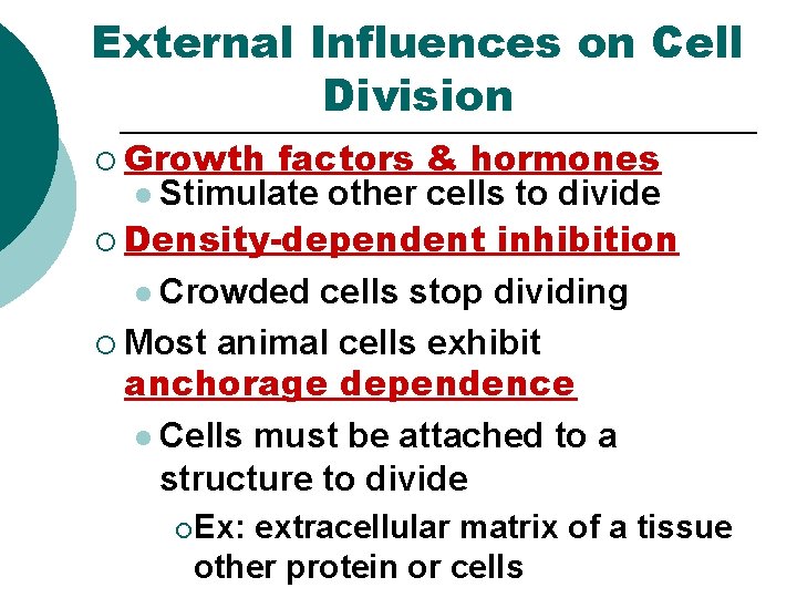 External Influences on Cell Division ¡ Growth factors l Stimulate other & hormones cells External Influences on Cell Division ¡ Growth factors l Stimulate other & hormones cells