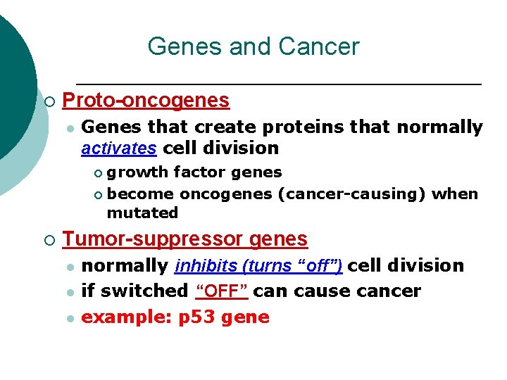 Genes and Cancer ¡ Proto-oncogenes l Genes that create proteins that normally activates cell Genes and Cancer ¡ Proto-oncogenes l Genes that create proteins that normally activates cell
