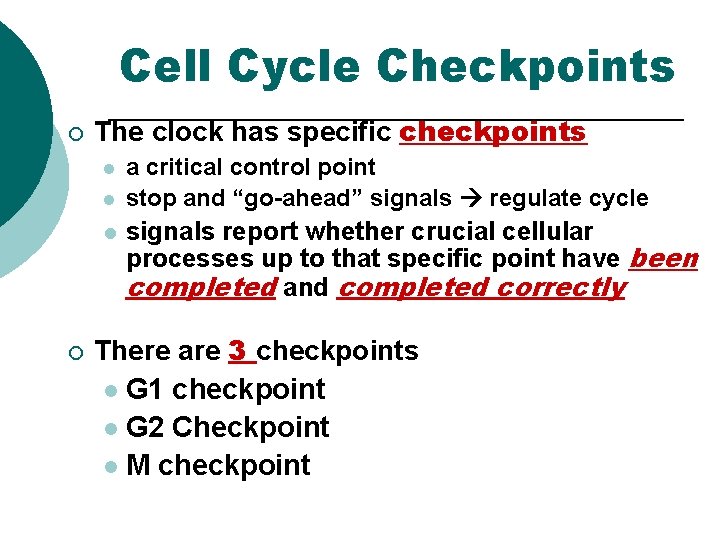 Cell Cycle Checkpoints ¡ The clock has specific checkpoints l l l ¡ a Cell Cycle Checkpoints ¡ The clock has specific checkpoints l l l ¡ a