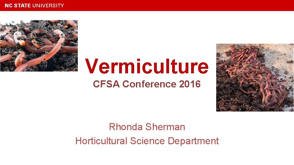 Vermiculture CFSA Conference 2016 Rhonda Sherman Horticultural Science Department 
