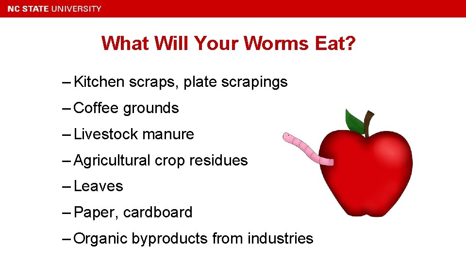 What Will Your Worms Eat? – Kitchen scraps, plate scrapings – Coffee grounds –