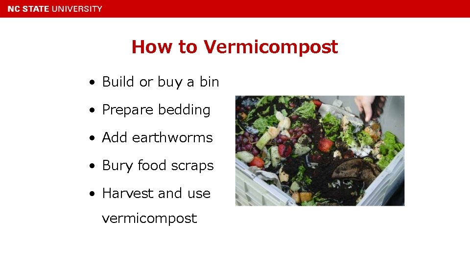 How to Vermicompost • Build or buy a bin • Prepare bedding • Add