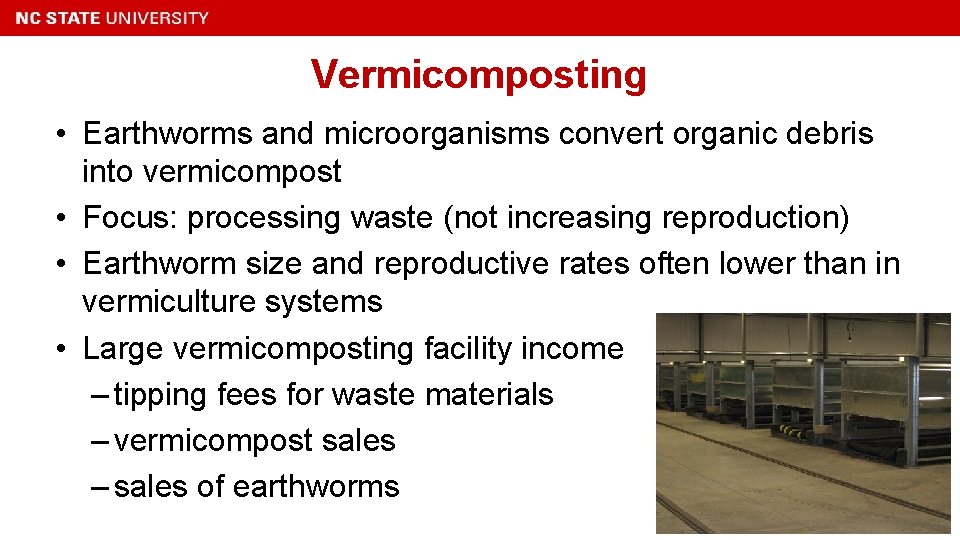 Vermicomposting • Earthworms and microorganisms convert organic debris into vermicompost • Focus: processing waste