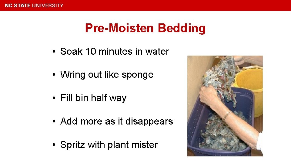 Pre-Moisten Bedding • Soak 10 minutes in water • Wring out like sponge •