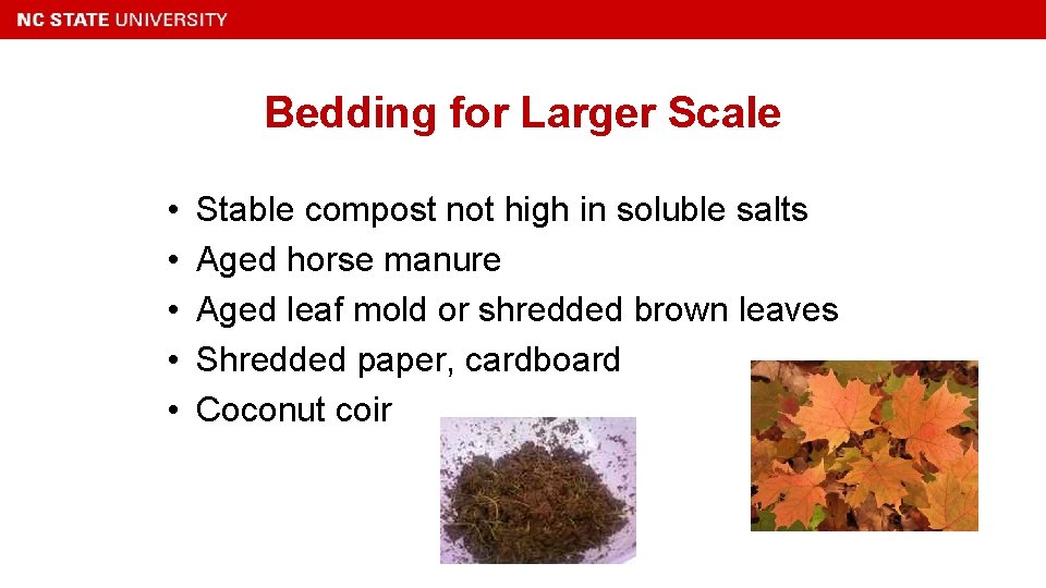 Bedding for Larger Scale • • • Stable compost not high in soluble salts