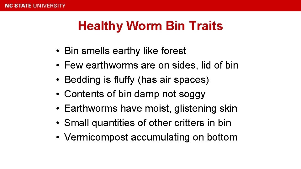 Healthy Worm Bin Traits • • Bin smells earthy like forest Few earthworms are
