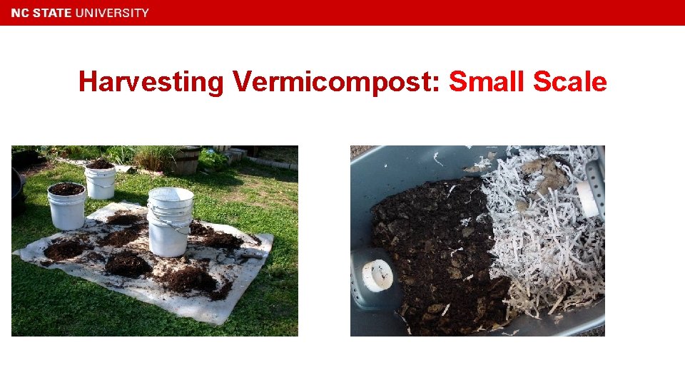 Harvesting Vermicompost: Small Scale 