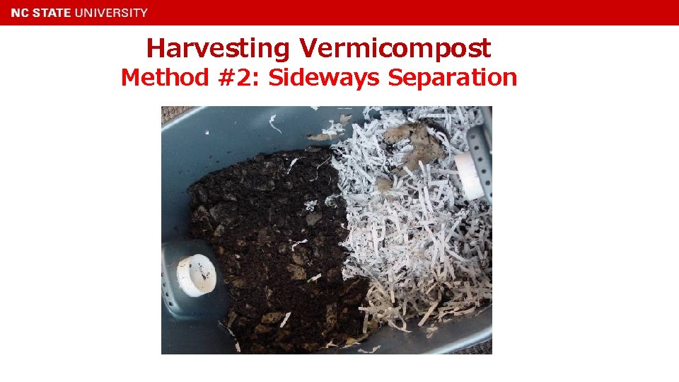 Harvesting Vermicompost Method #2: Sideways Separation 