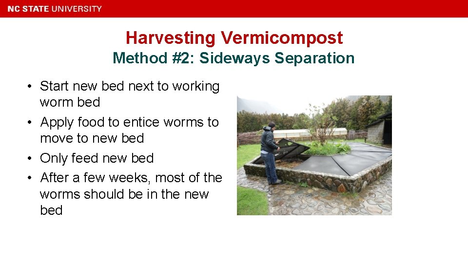 Harvesting Vermicompost Method #2: Sideways Separation • Start new bed next to working worm