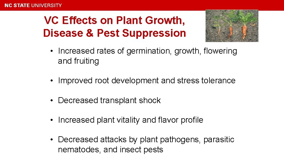 VC Effects on Plant Growth, Disease & Pest Suppression • Increased rates of germination,