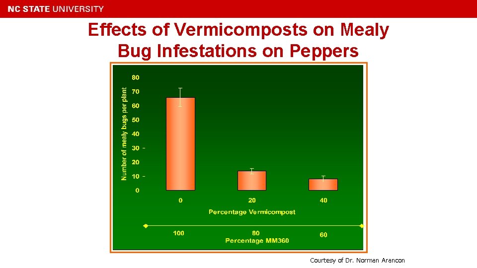 Effects of Vermicomposts on Mealy Bug Infestations on Peppers Courtesy of Dr. Norman Arancon
